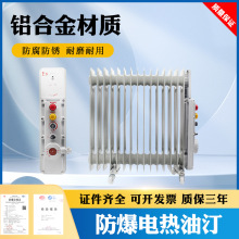 防爆电暖器多片取暖器2500W220V防爆电热油汀家用取暖器仓库保暖