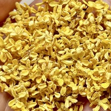 新货花草茶批发广西桂林桂花干干桂花桂花茶 色好味香手工挑选