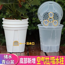 储水青山盆控根透气水培白色透明蝴蝶兰盆水苔自吸水懒人花盆