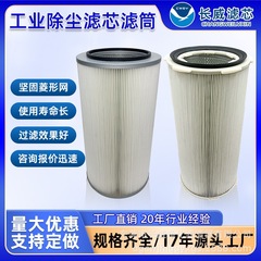 工場用除塵ステンレスフィルターエレメントフィルターカートリッジ 工業用除塵機用フィルムコーティング難燃性帯電防止六耳クイックリリーススプレーペイント