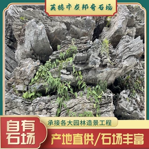 [青龙石天然景观假山石庭院花园造景英石园林石绿化点叠石产地批发]