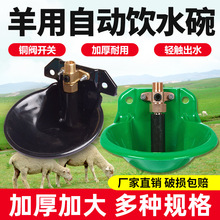 羊用饮水碗铜阀羊水碗新款自动饮水器塑料饮水槽羊用喂水养殖设备