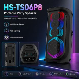 �n���F؛6.5�����V�����{�������ſ��yʽ���U���HS-TS06P8