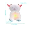 Bai-lamb