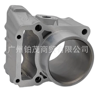 Cylinder and parts Suitable for Kawasaki Klx300
