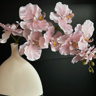 3D��ӡ���޷�������m�������c�Ɍ���Y���b��b��ҾӔ[������