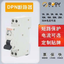 DPN小型断路器 双进双出带过载保护1P+N空气开关 低压配电空开