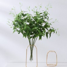 ���Q�F��ɏ�~�ӷ����~ ����ֲ�� �Gֲ �廨����Gֲ���滨 ���l