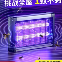 ω늓ʽß͏dnωÜωӼ