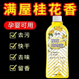 ϵҺͳ־ľذɴu坍ϵؼ坍Һl