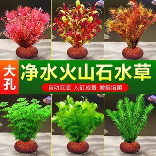 ��ɽʯˮ��ֲ���~���쾰���ˮ������ˮ����ԾG�Ճ���ˮ�|�ײ�