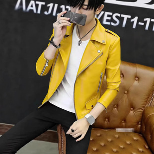 ��ʿPU�C܇Ƥ���＾��2025�¿����e�ٴ������Ӻ��a��Ƥ�A������
