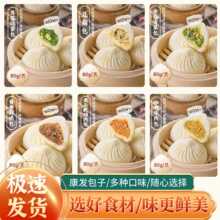 康发天香达鲜肉速冻包子商用家庭早餐店多口味冷冻包子批发