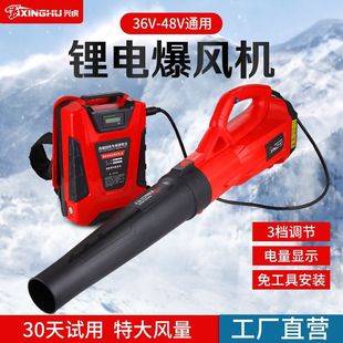 Rechargeable Hair Dryer 48V High-Power Electric Leaf-Blowing Dust Blower Wireless Lithium Electric Snow Blower