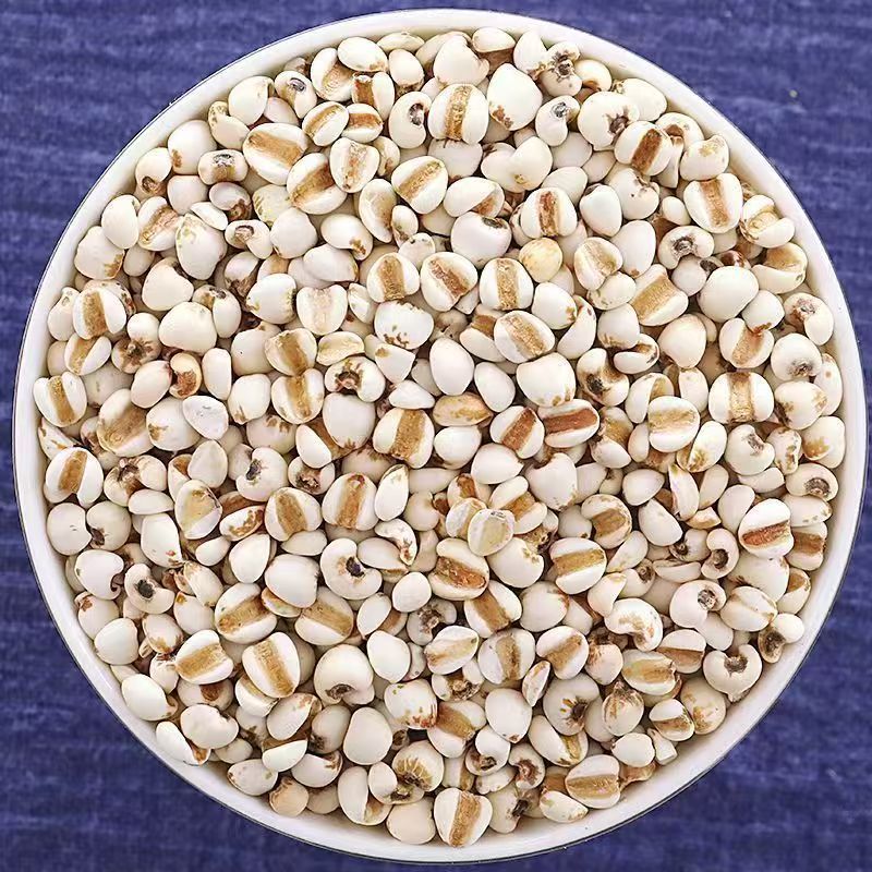 Roasted Coix Seed Powder Yi Yi Ren 薏苡仁 Coix lacryma-jobi 500g Herbal Powder for Drinks and Congee key features