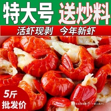 С���rβС���r5���r������ǟo��1����������rβ���l���rֱ�l