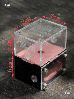 Betonqarışdıran maşınlar Printed Ant Workshop Acrylic Breeding
