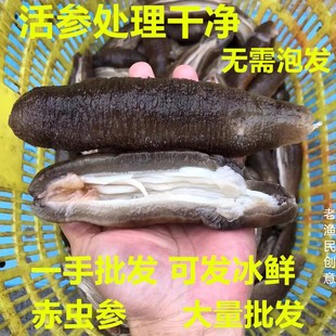 ���ϱ���Ұ���r���,���x���ں��������Ӆ��ڞ�����ʳ���r