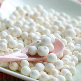 ���w�����͌�500g �K���͌��ʟo���؛