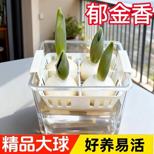 ������N��ˮ�໨�ܶ�ֲ�@�҃Ȼ�ֲ���ļ��N�����Ի�����ˮ�B�û�