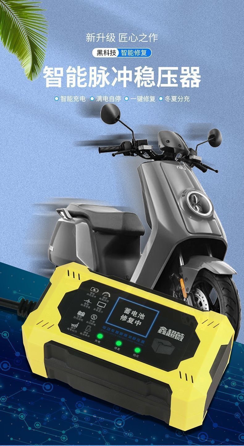 Electric Vehicle Intelligent Pulse Voltage Stabilizer Repairer One-Click Repair Activation Battery Fully Automatic Power Outage Protection Universal
