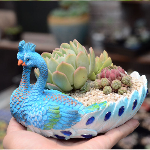 Zakka Mini Creative Succulent Peacock Planter Combo Pot Plant Balcony Desktop Decoration Amazon Cross-border