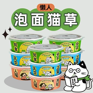 懒人泡面猫草人喵共旺猫草盆栽小麦种子猫咪排毛零食宠物狗狗用品