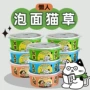 盆栽宠物狗小麦泡面