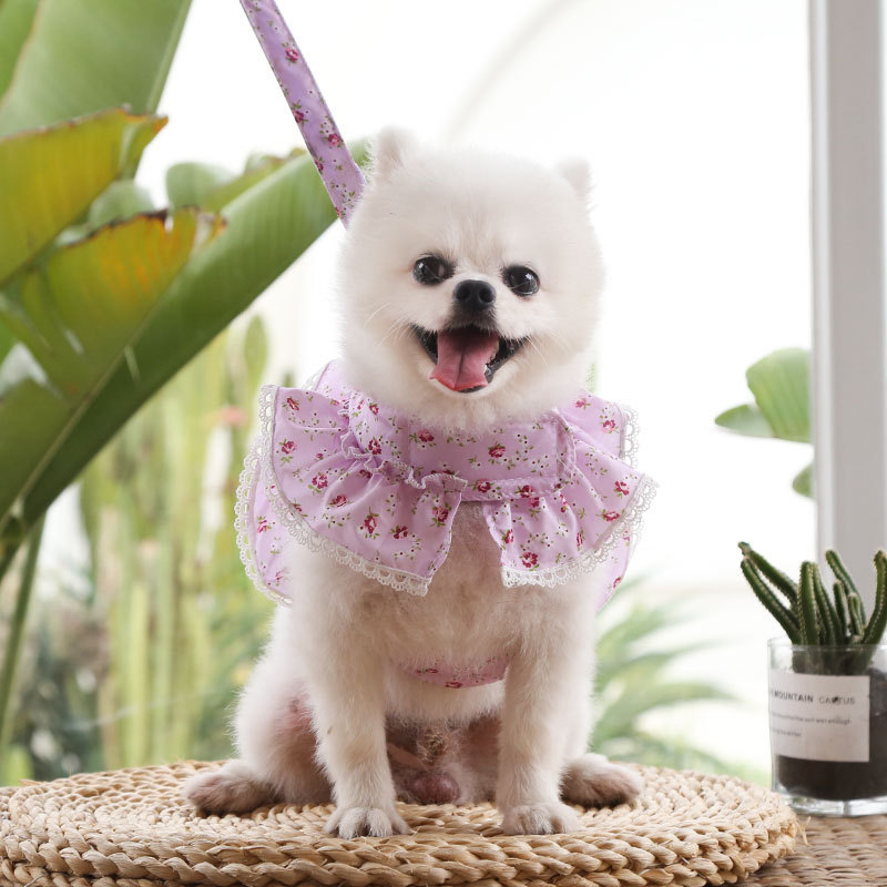 Cute Polyester Ditsy Floral Leash display picture 12