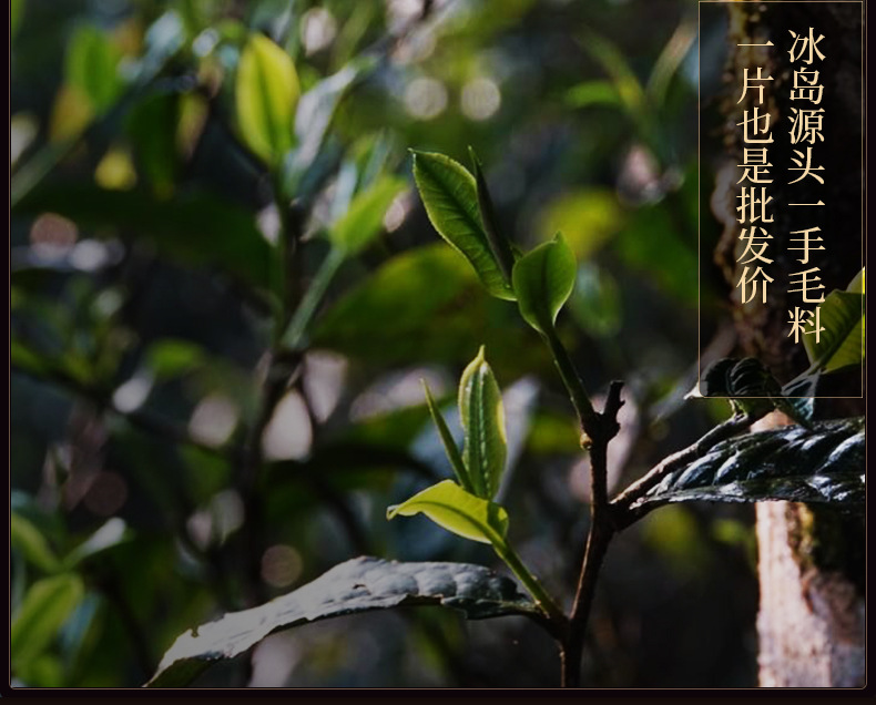 详情_08