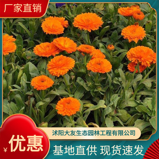 �������Nֲ�� �N�� ���l���� ��K�� �ر�ֲ�� �ݻ�����