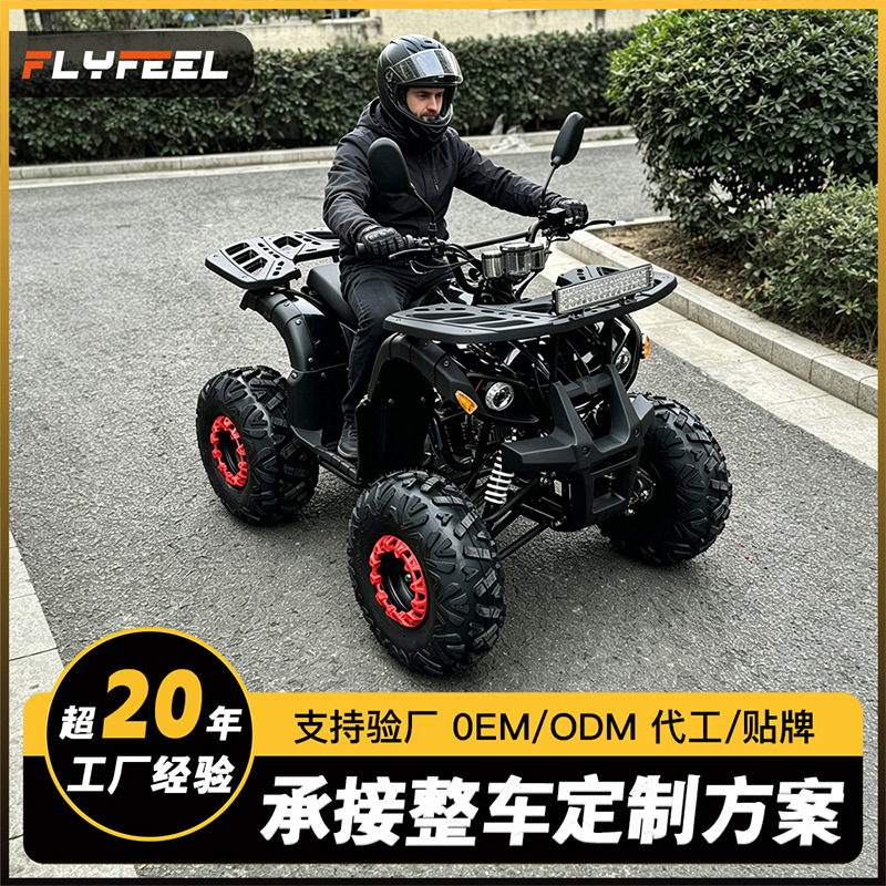 Cuatrimoto ATV Todoterreno de Hierro y Plástico con Inicio Eléctrico y Transmisión Automática