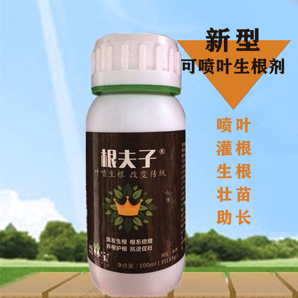 Powerful rooting powder Monthly succulent plants universal cuttings…