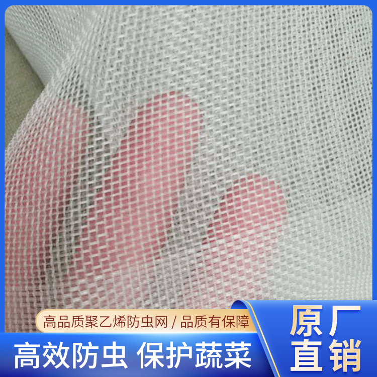 果树防鸟瓜棚网 40目农用蔬菜养殖网尼龙网 温室大棚白网防虫网