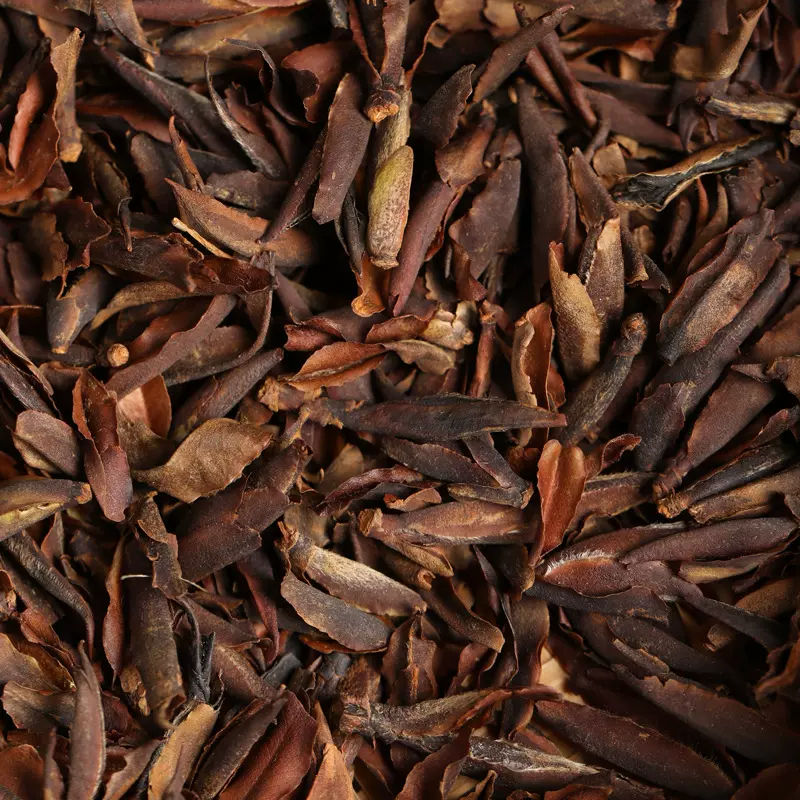 2015年古树野雀舌紫芽苞生茶普洱茶古树茶陈年普洱普洱茶饼