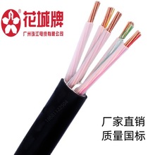 �V���齭��|������ZC-YJV5*25ƽ��������ȼ�~о�����|ZC-VV