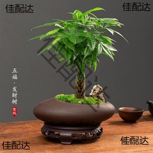 ؔԴ�L�L�lؔ��С���Ի��ܾGֲ���k���҃ȾG�}����ˮ��lؔ��̫��