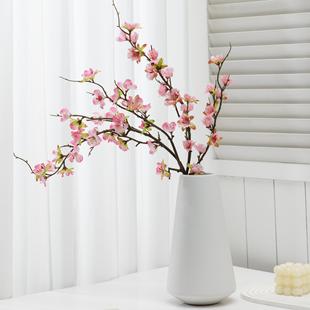 �����һ�֦���滨�һ��ٻ�÷��֦�Ҿ��b�ɫϵ�廨�zӰ���ջ���