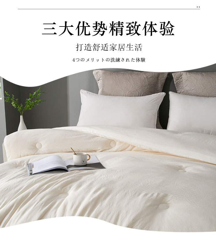 Class A Raw Cotton Soybean Fiber Thickened Quilt Core Spring Autumn Winter Cotton Quilt Student Dormitory Winter Quilt Gift Wholesale