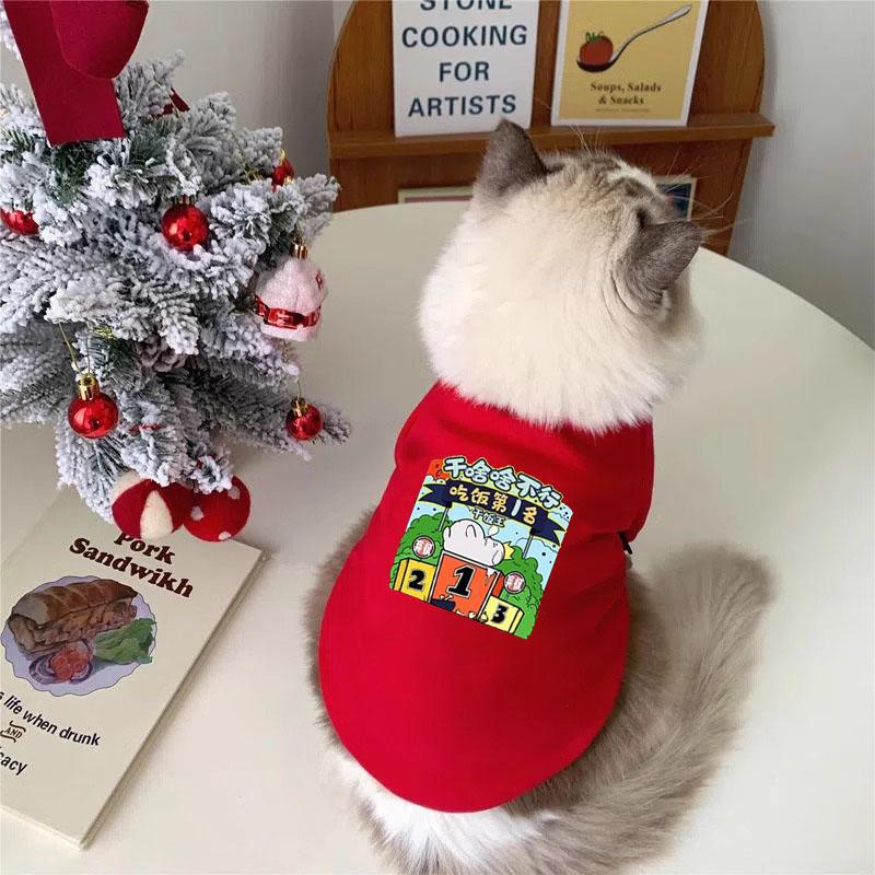 Ropa de felino de peluche otoño y invierno mascotas de Navidad de dos patas suéter gato azul gato muñecas de tela corta gato anti-pillo gatito gatito