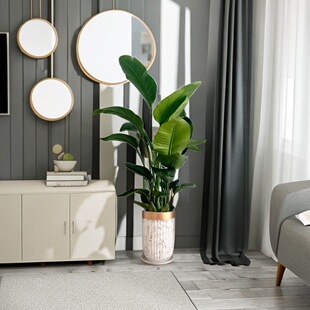 ���l�Gֲ����ֲ���k���ҿ͏d�[�Ń������W��ȩ�ļ��҃��լ