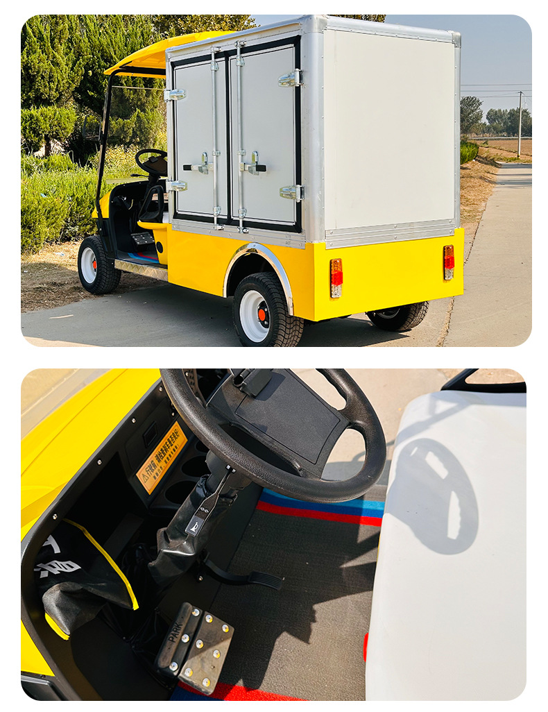 2-Seat Electric Golf Cart Scenic Tourist Sightseeing Car Food Delivery Car Electric Golf Cart