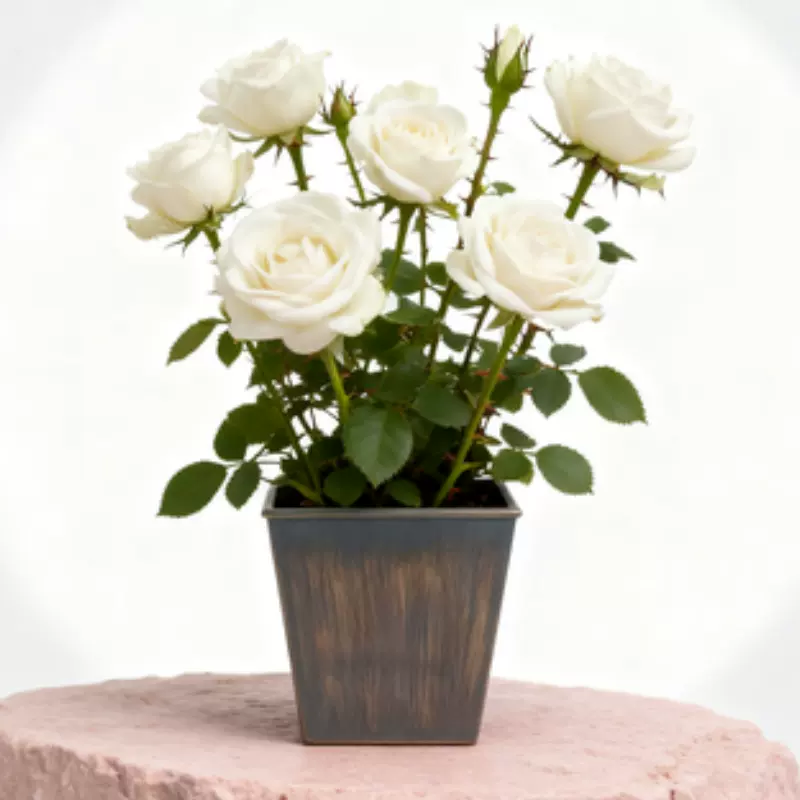 外贸工厂新款PP塑料花盆大号仿陶瓷简易树脂花盆绿植专用花盆