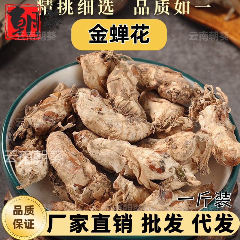 金蝉花中药材 500g 菌类精选土蝉花 蝉草 金蚕花散装可代磨粉批发