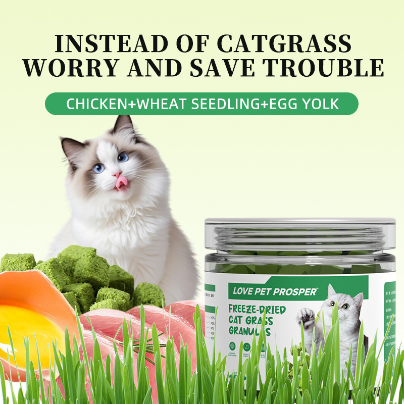 Cross-Border Foreign Trade Pet Cat Grass Sticks Health Supplements Source Factory Cat Nutritional Supplements Cat Grass Granules for Cats Cross-Border Foreign Trade Pet Cat Grass Sticks Health Supplements Source Factory Cat Nutritional Supplements Cat Grass Granules for Cats