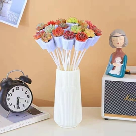 花盆容器;仙人掌及多肉;栽培基质