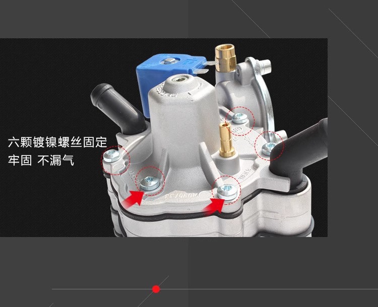 Lpg/Cng Car Oil to Gas Liquefied Gas Vaporizer Gas Car Accessories At09 Alaskav.16