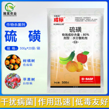 ��˹�� �ɘ� 80%��� �S�ϰ׷۲��Ҙ�ְ߲����財�rș������500g