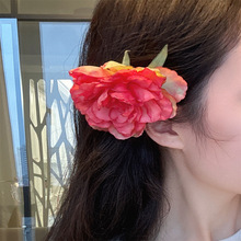 A159-5��߅�A �l�A��ʽ�͹�ĵ�����l�����䴺�ĶȼٷՇ����հl�
