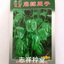 蕭新薄皮麻辣椒種子 早熟燈籠型甜椒種籽 果色亮綠 皮薄質脆 中辣